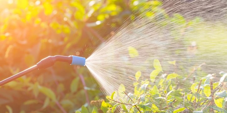 Roundup weed killer lawsuit