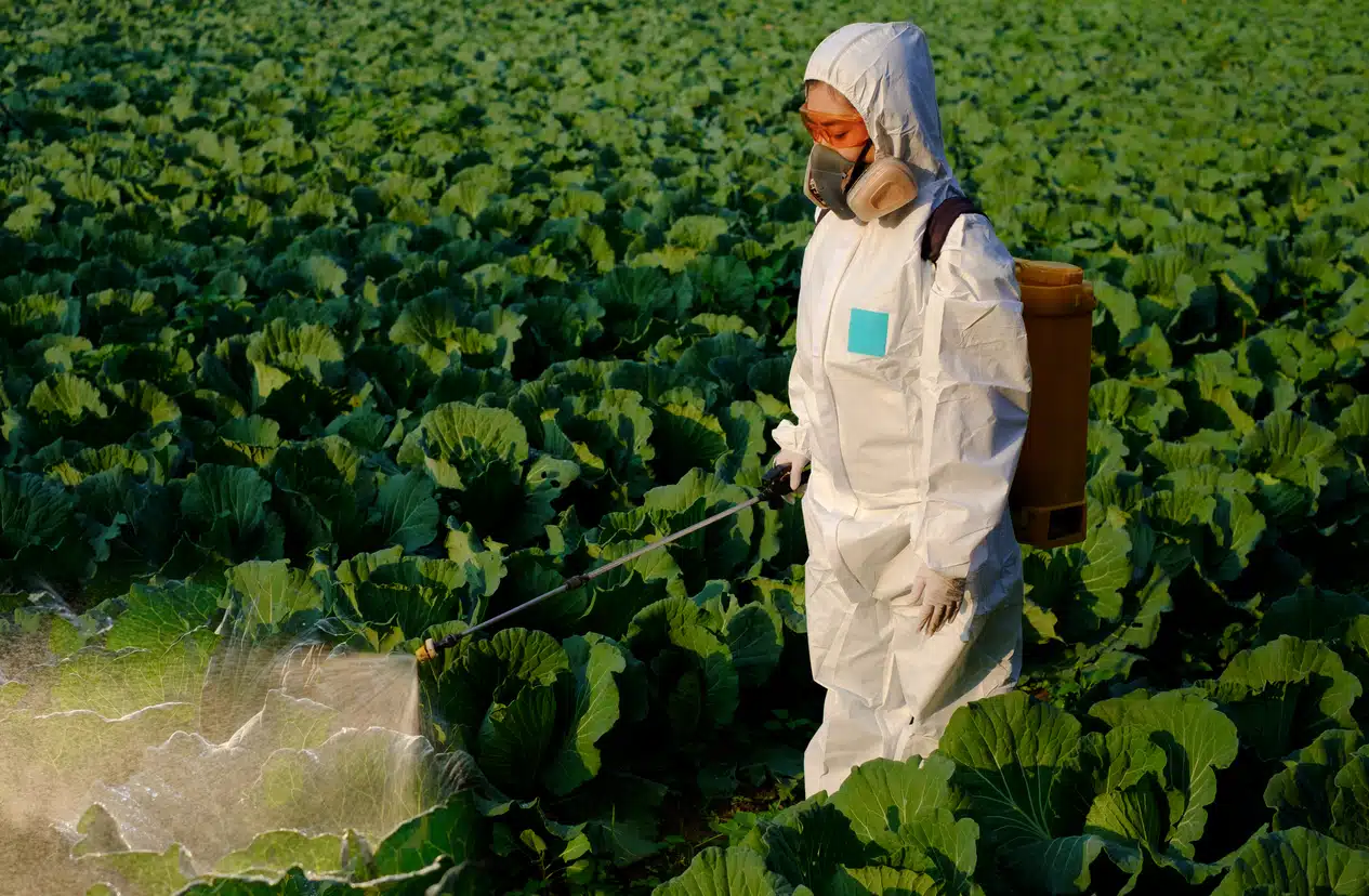 Image of a person wearing protective gear and holding a bottle of paraquat